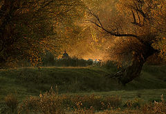 photo "***"