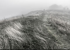 photo "Into the Mist / 0233_0514"