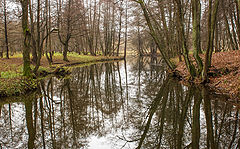 photo "***"