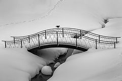 photo "***"
