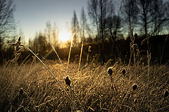 фото "Рассвет"