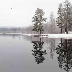 фото "Тишина поздней осени"