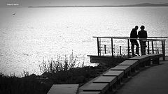 photo "a pause in the walk"