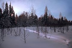 photo "***"