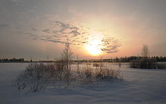 photo "***"