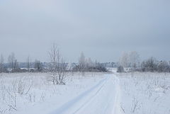 photo "***"