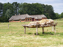 photo "Landscape"
