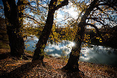 photo "***"