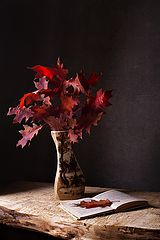 photo "***"