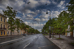 фото "Нашествие чаек..."