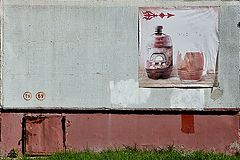 фото "***"