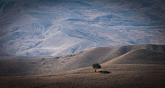 photo "***"