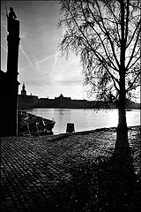 photo "Статуя и дерево"