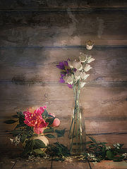 photo "***"