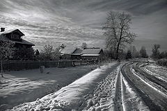 фото "***"