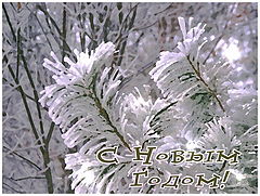 фото "С Новым Годом!"