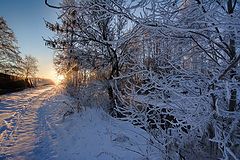 фото "Утренняя тропинка"