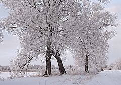 фото "Холодная"