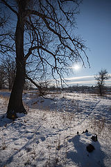 photo "***"