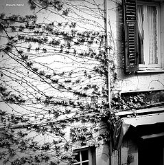 photo "the wall"