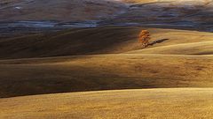 фото "Осень"