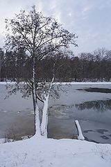 photo "***"