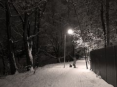 photo "***"