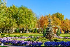 фото "Краски прошлой осени."