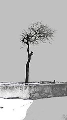 photo "***"