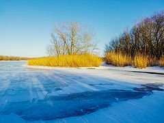 фото "Зимний Дон."