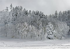photo "***"