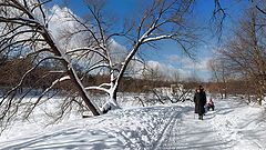photo "***"