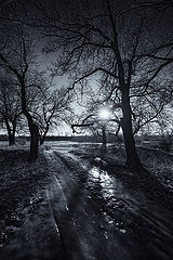 photo "***"