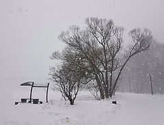 фото "Снегопад"