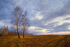 фото "Последний луч"