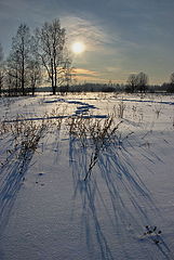 photo "***"
