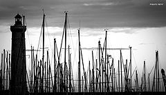 photo "in the port"
