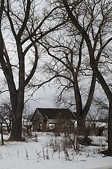 photo "***"