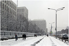фото "Серые будни"
