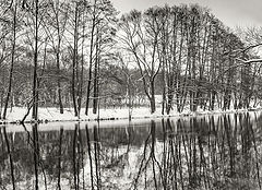 photo "***"