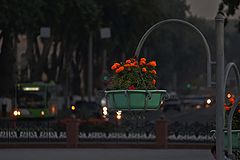 photo "***"