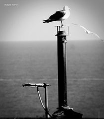 photo "on the top"