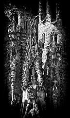 photo "Verticals"
