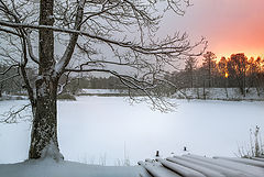 фото "Зимняя графика"