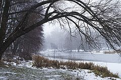 photo "***"