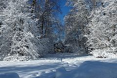 photo "***"