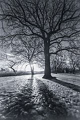 photo "***"