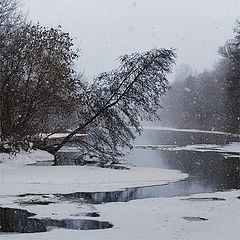photo "***"