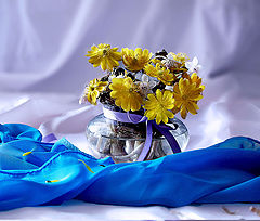 photo "***"