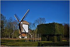 фото "***"